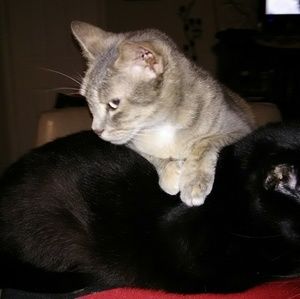 Meet your Posher, Patti